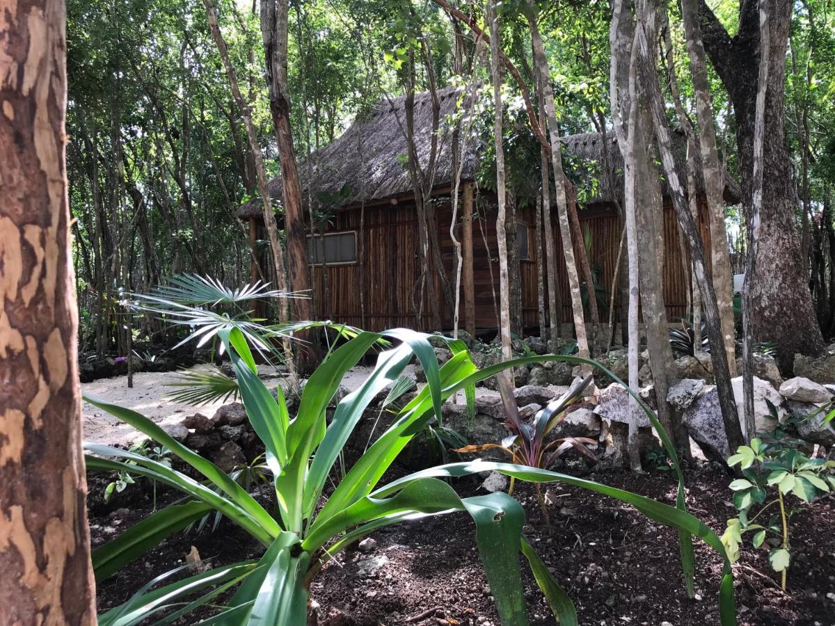 Bayou Tulum Bagian luar foto